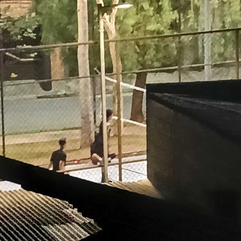 Imagem da publicação