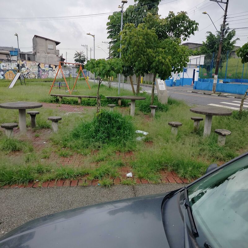 Imagem da publicação