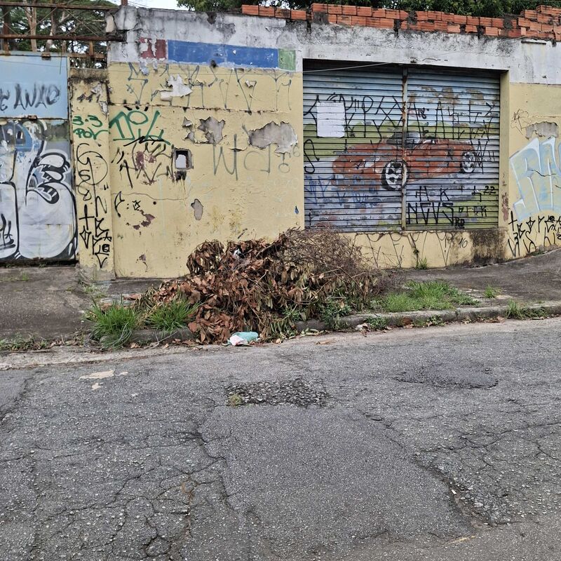 Imagem da publicação