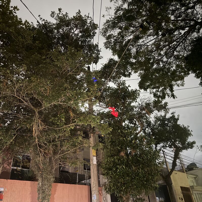 Imagem da publicação