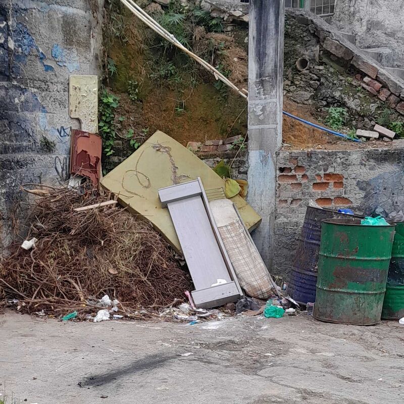 Imagem da publicação