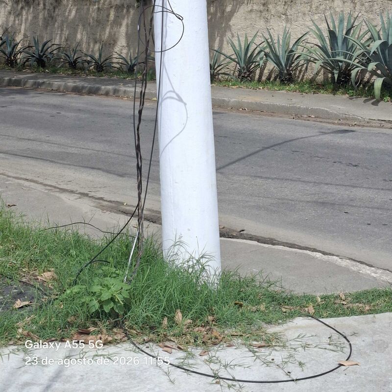 Imagem da publicação
