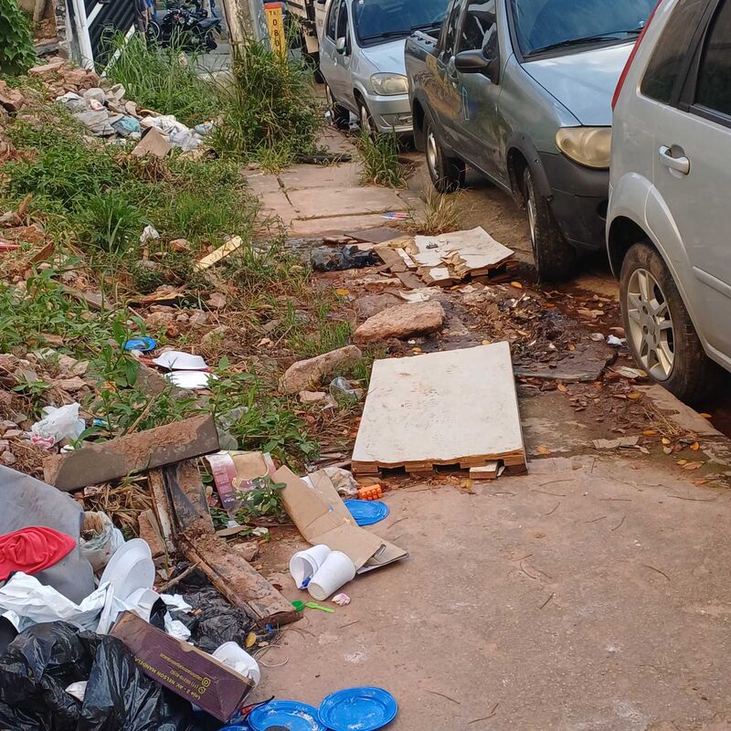 Imagem da publicação