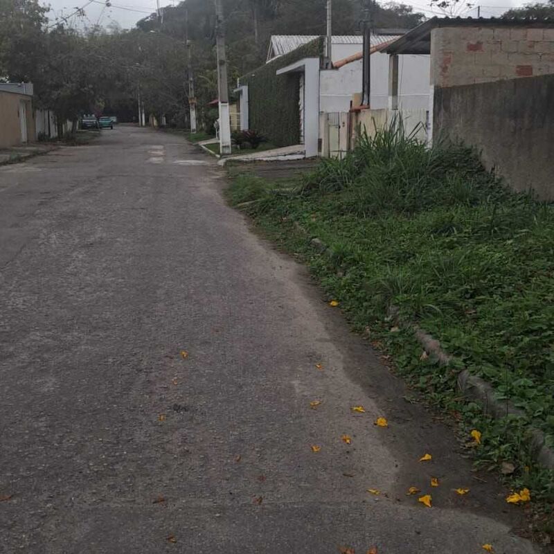 Imagem da publicação