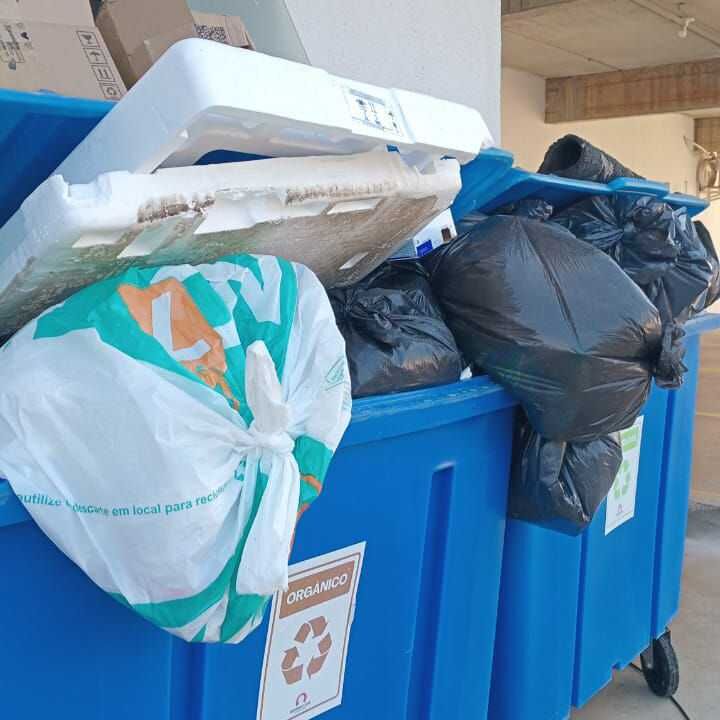 Imagem da publicação