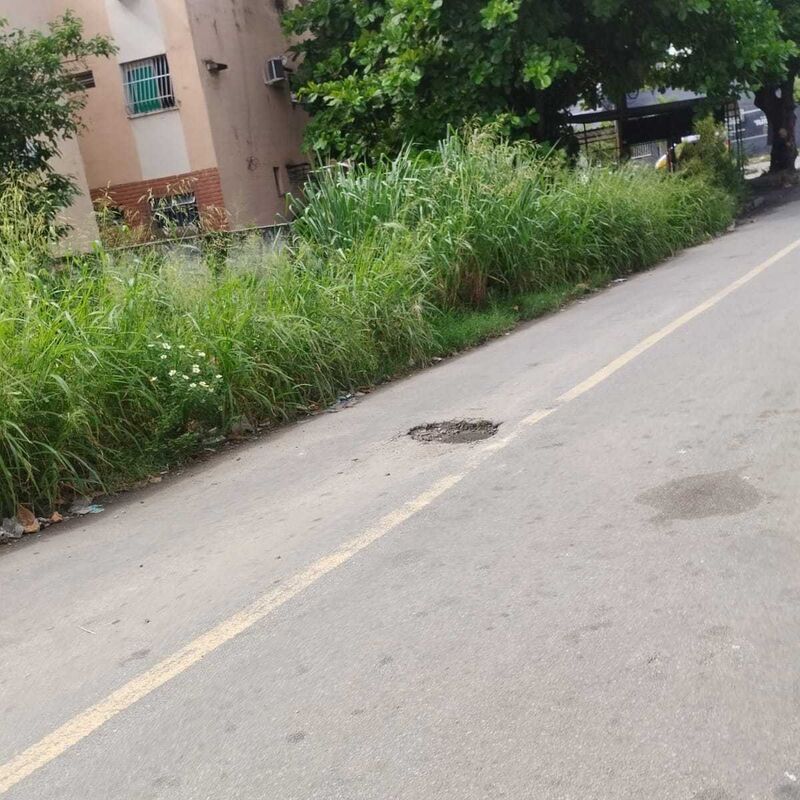 Imagem da publicação