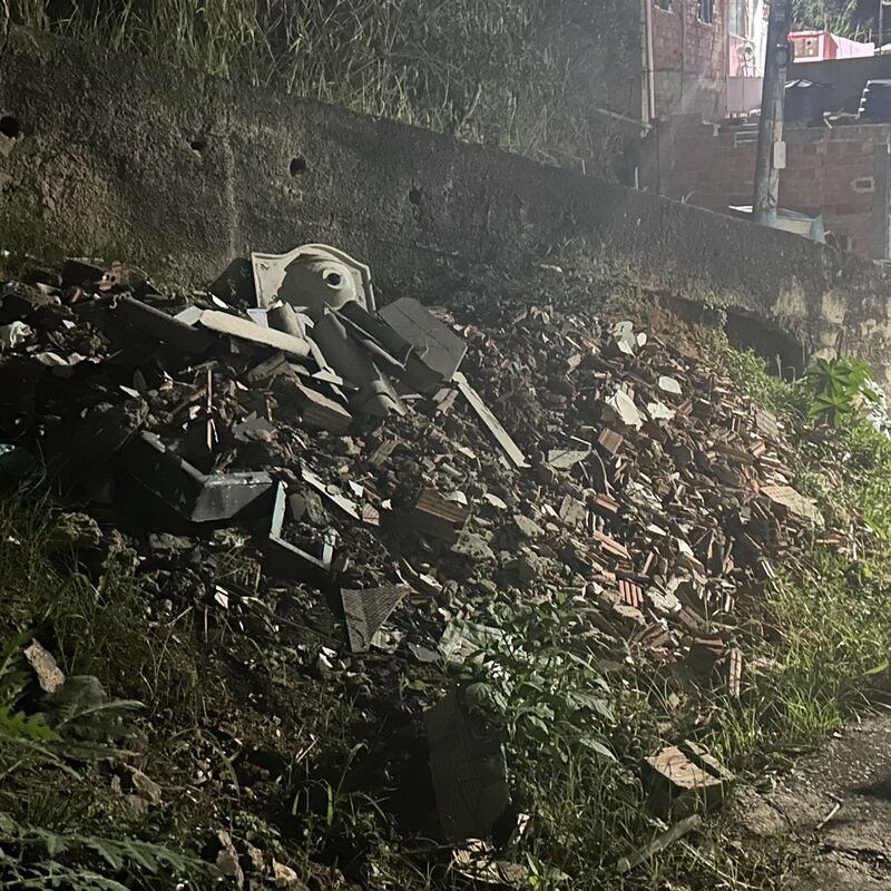 Imagem da publicação