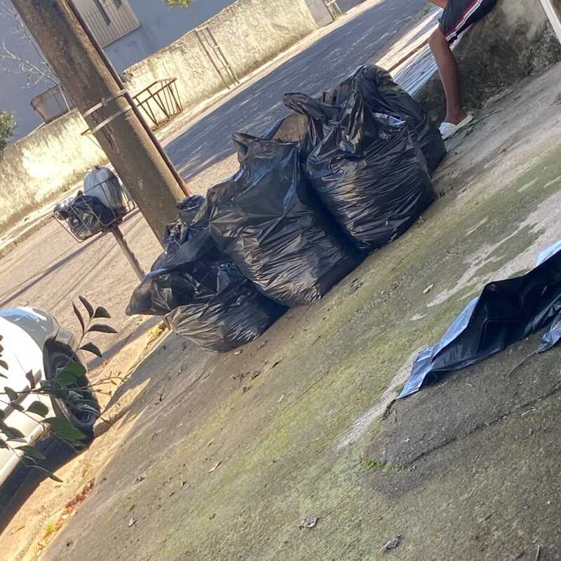 Imagem da publicação