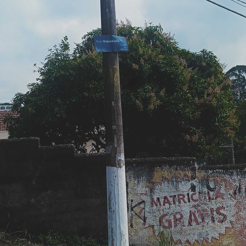 Imagem da publicação