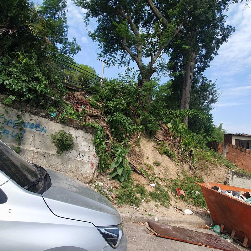 Imagem da publicação