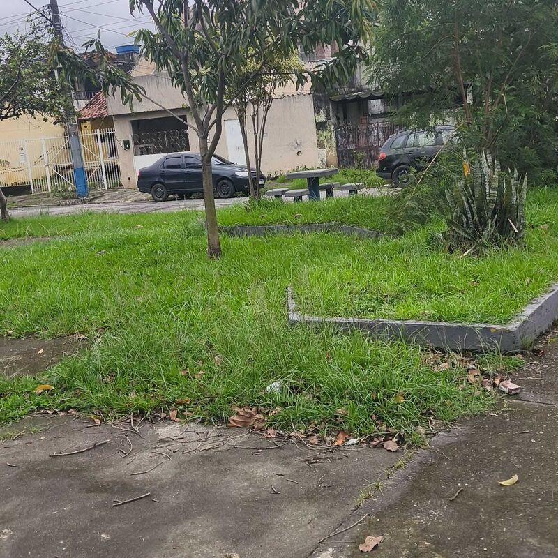 Imagem da publicação