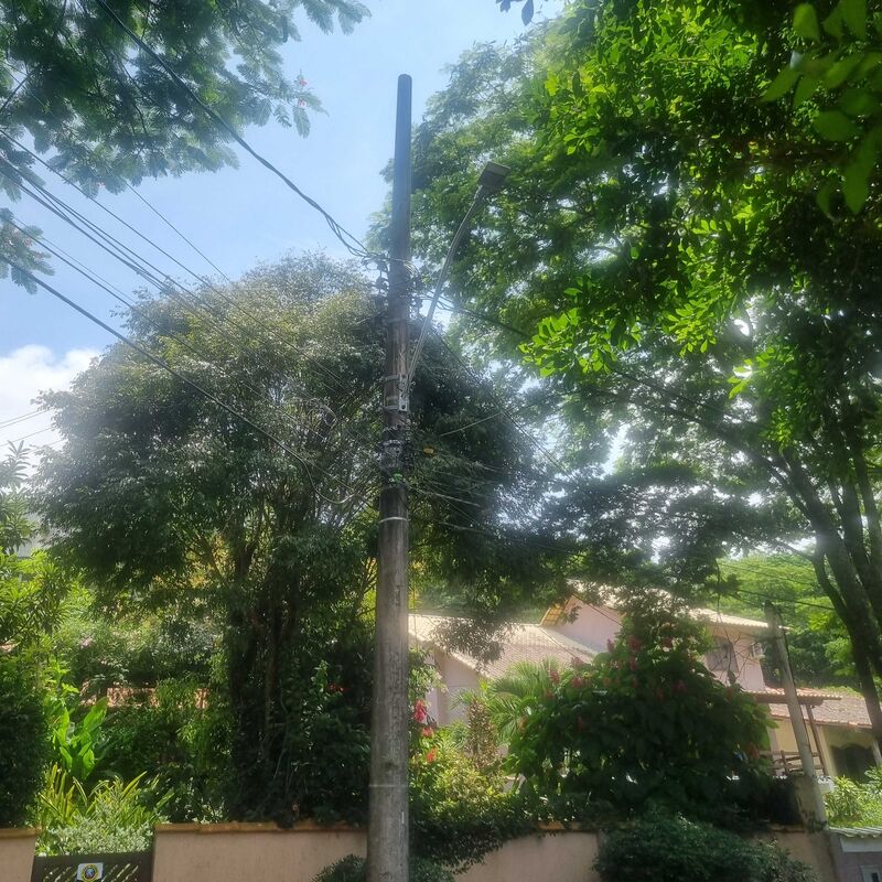 Imagem da publicação