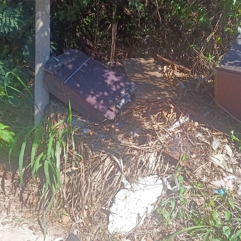 Imagem da publicação