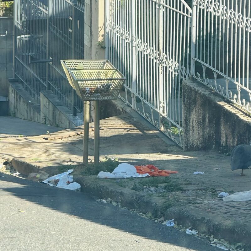 Imagem da publicação