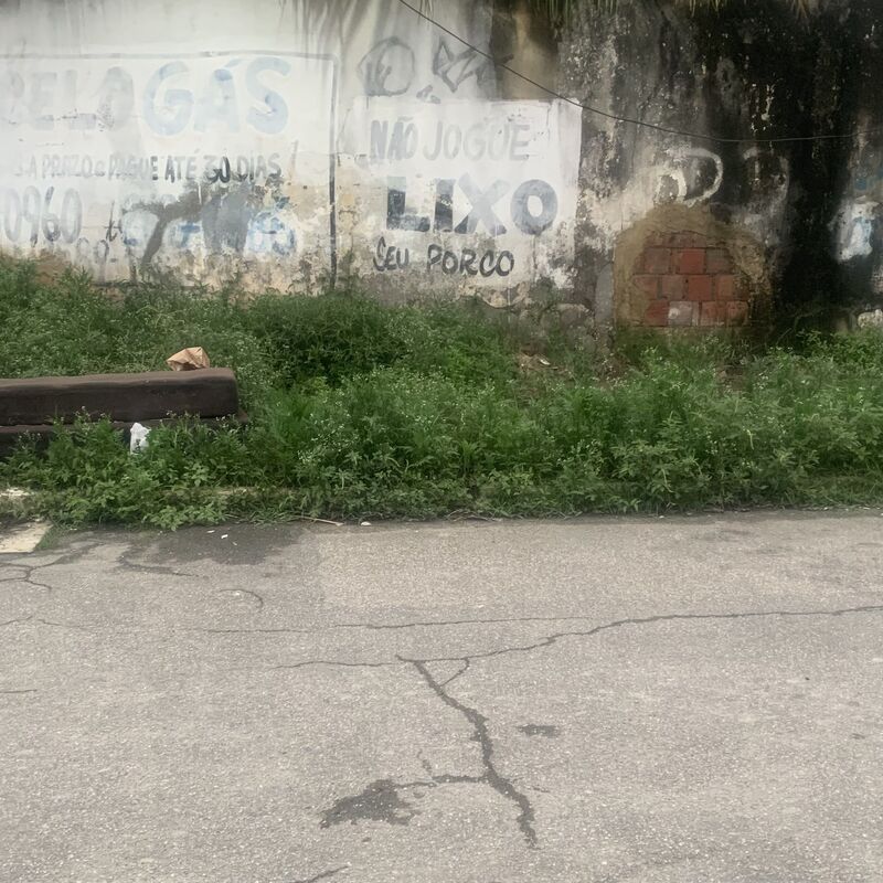Imagem da publicação