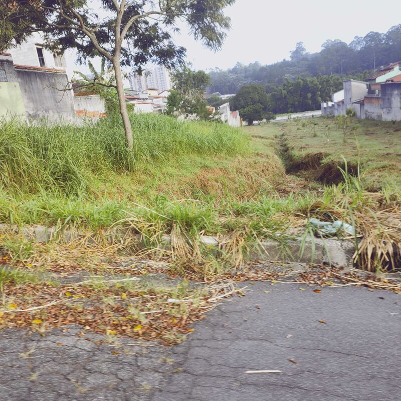 Imagem da publicação