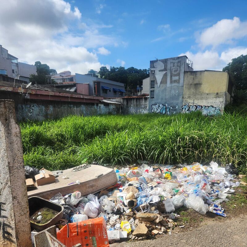 Imagem da publicação