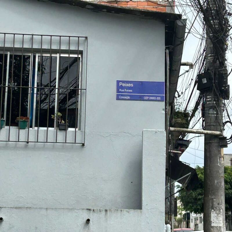 Imagem da publicação