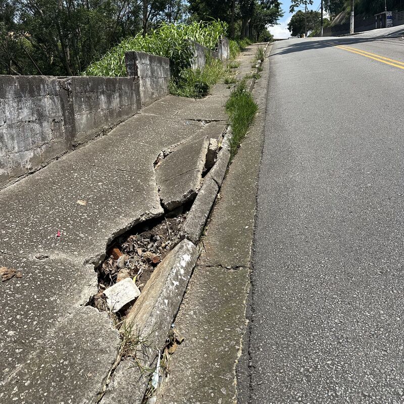Imagem da publicação