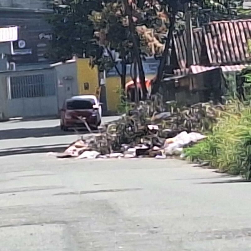 Imagem da publicação