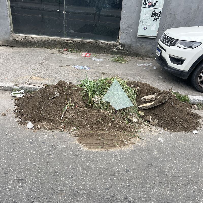 Imagem da publicação