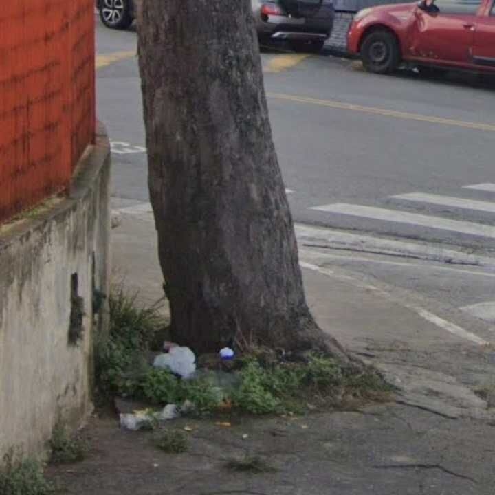 Imagem da publicação