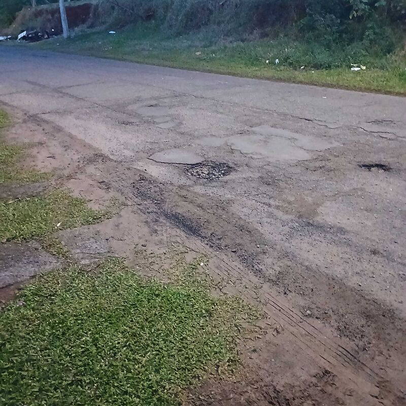 Imagem da publicação