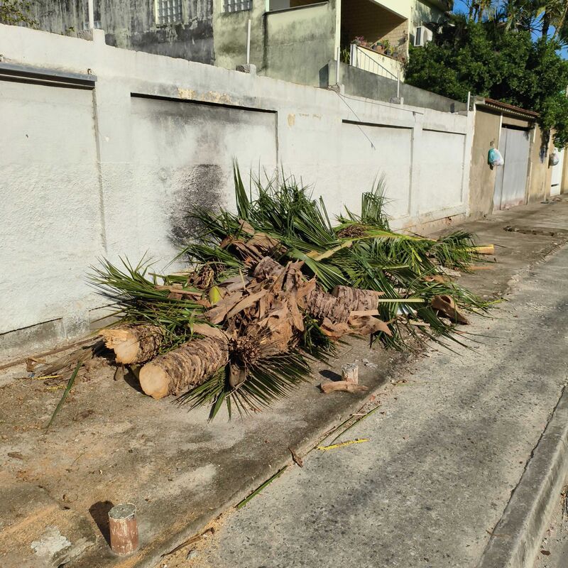 Imagem da publicação