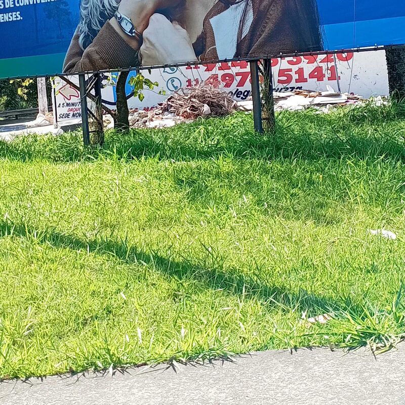 Imagem da publicação