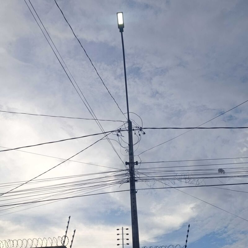 Imagem da publicação