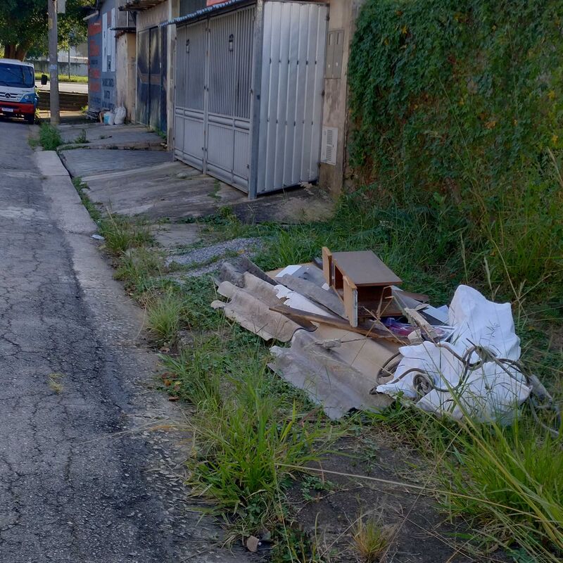 Imagem da publicação