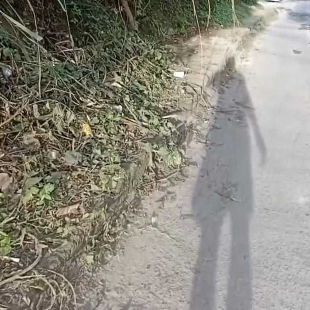 Imagem da publicação