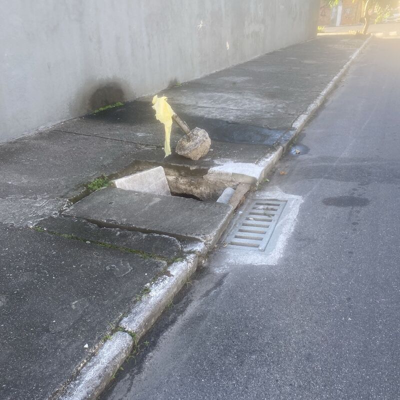 Imagem da publicação