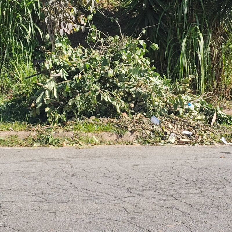 Imagem da publicação