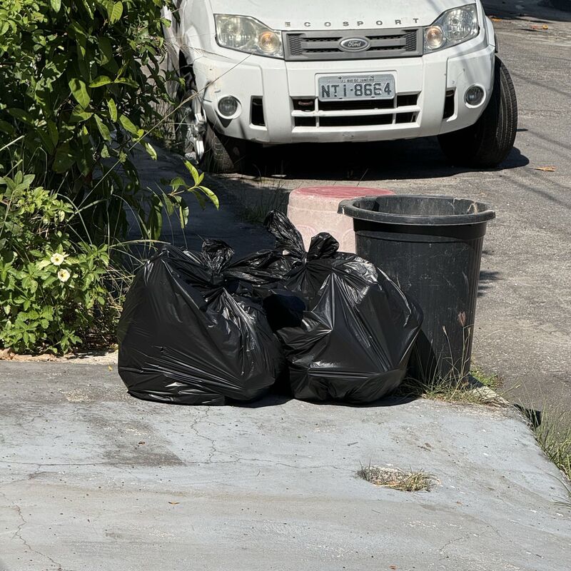 Imagem da publicação