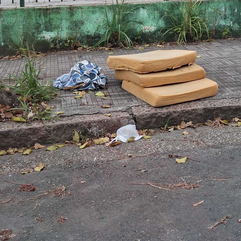 Imagem da publicação