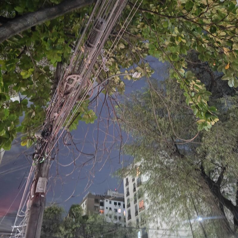 Imagem da publicação