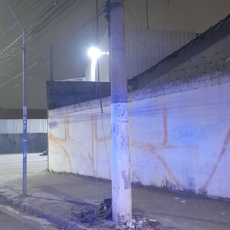 Imagem da publicação