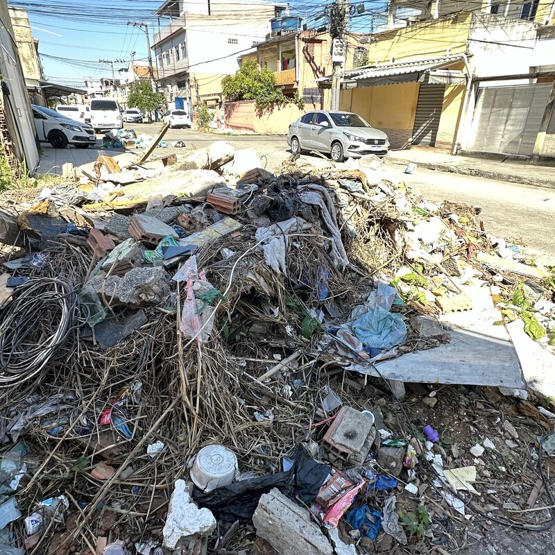 Imagem da publicação