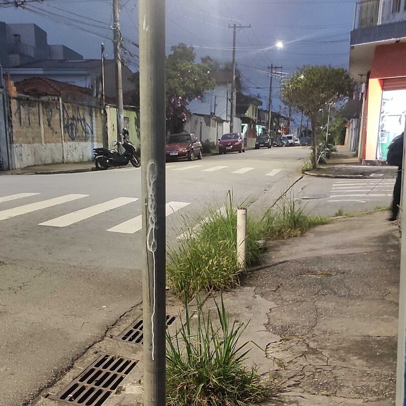 Imagem da publicação