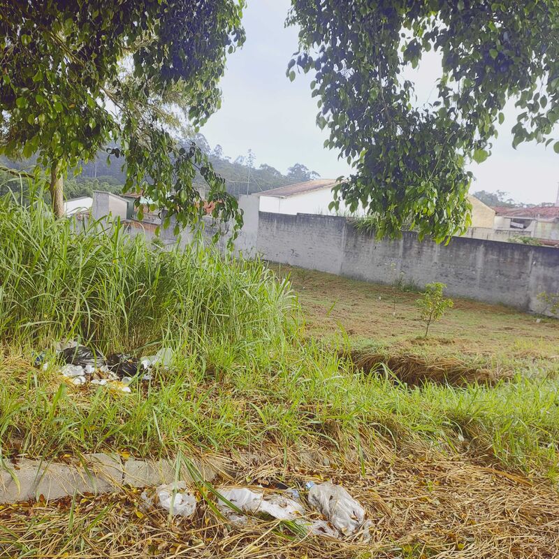 Imagem da publicação