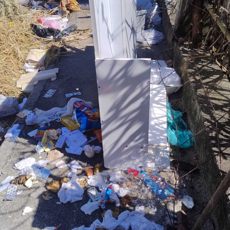 Imagem da publicação