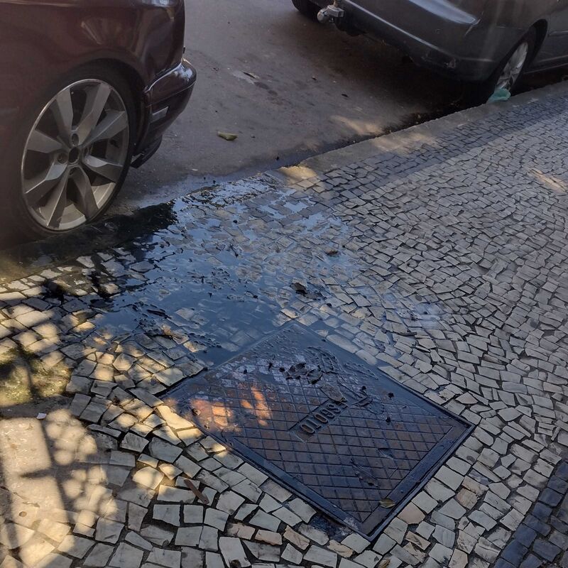 Imagem da publicação