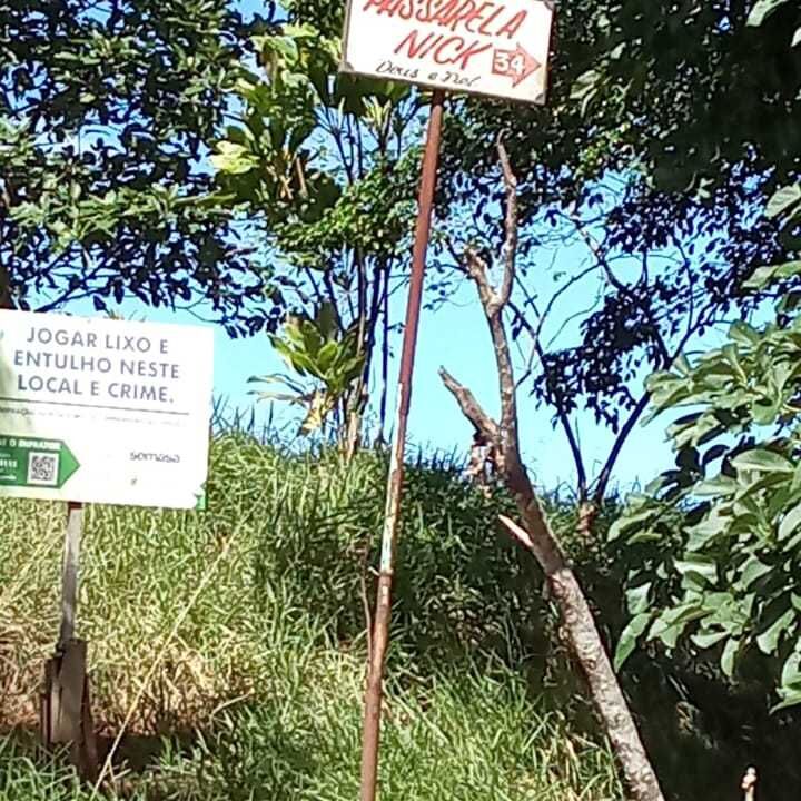 Imagem da publicação