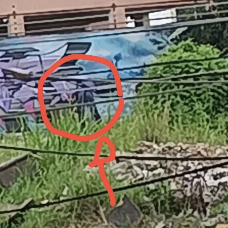 Imagem da publicação