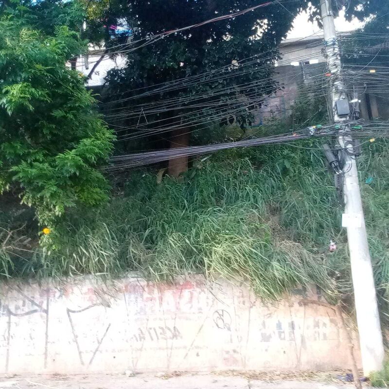 Imagem da publicação