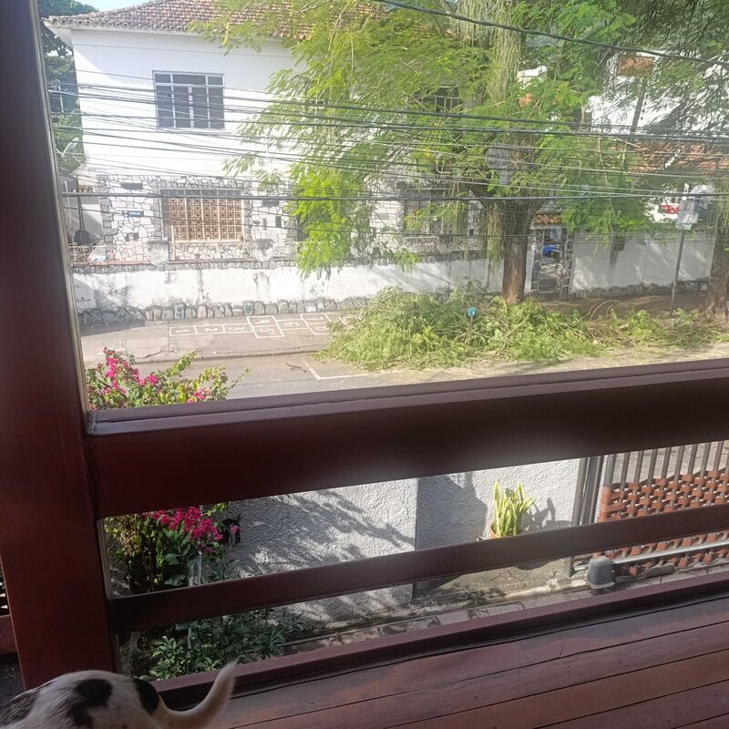 Imagem da publicação