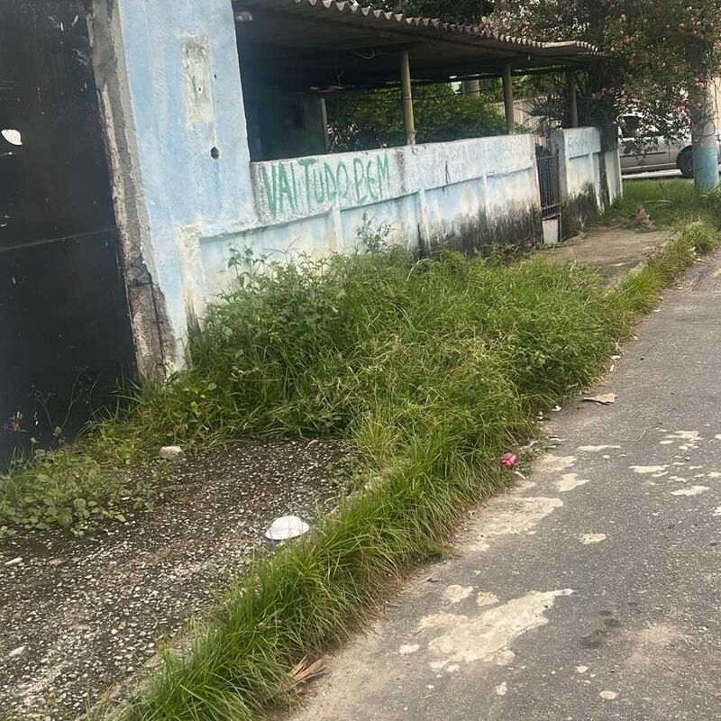 Imagem da publicação