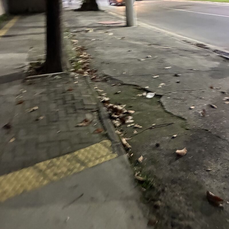 Imagem da publicação