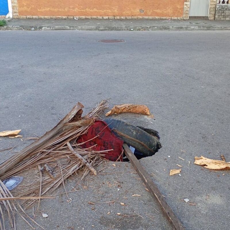 Imagem da publicação